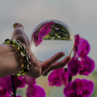 Developing Intuition - Michelle Capper-Fay Ballydehob