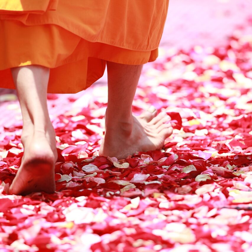 free-monk-walking