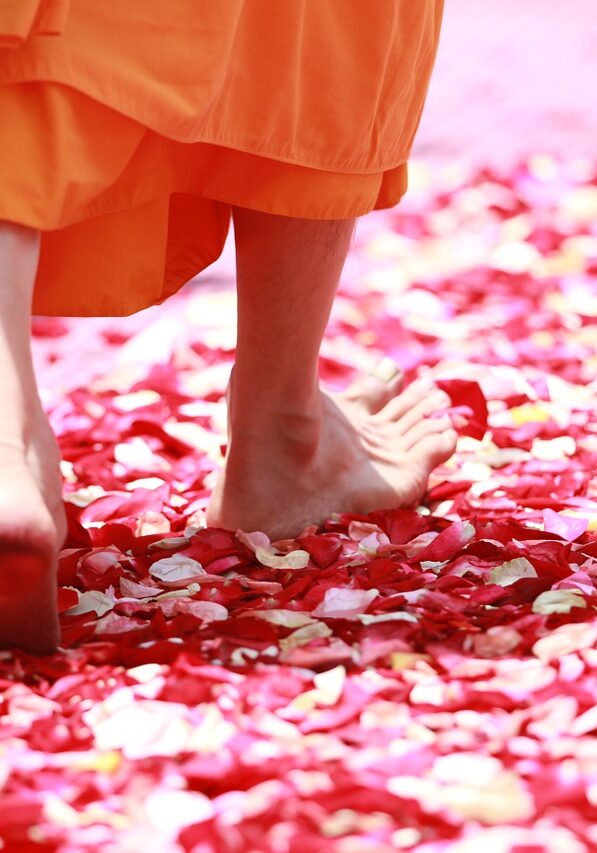 free-monk-walking