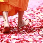 Monk on rose petals free monk-458491_1920