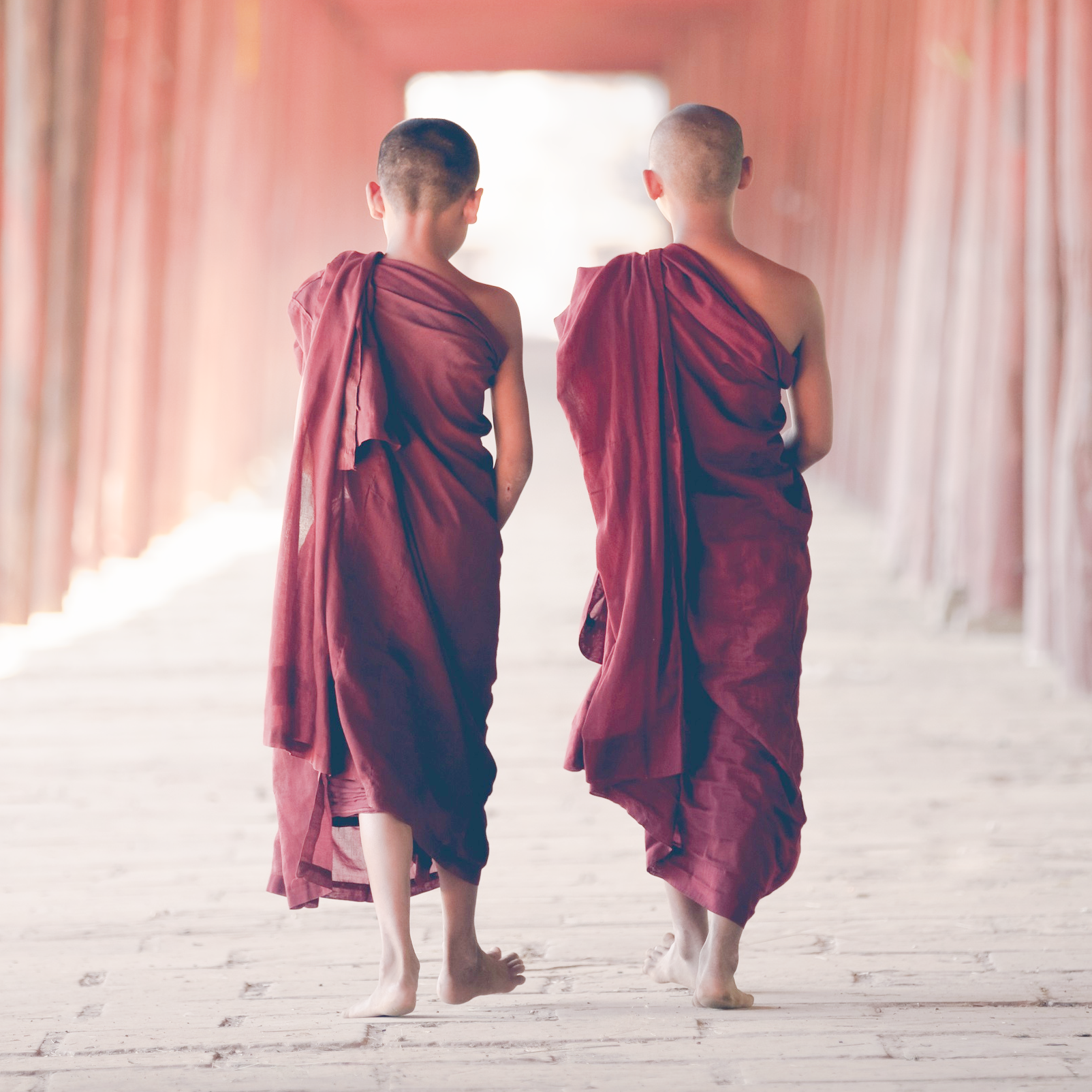 Novices 4