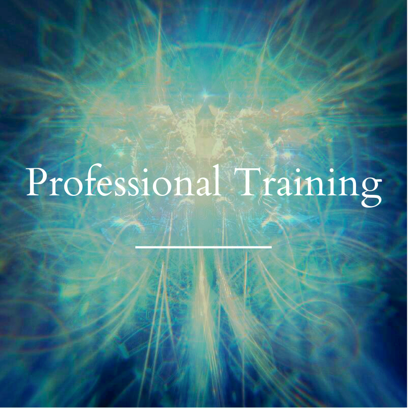 Professional Training