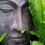 free buddha green leaves